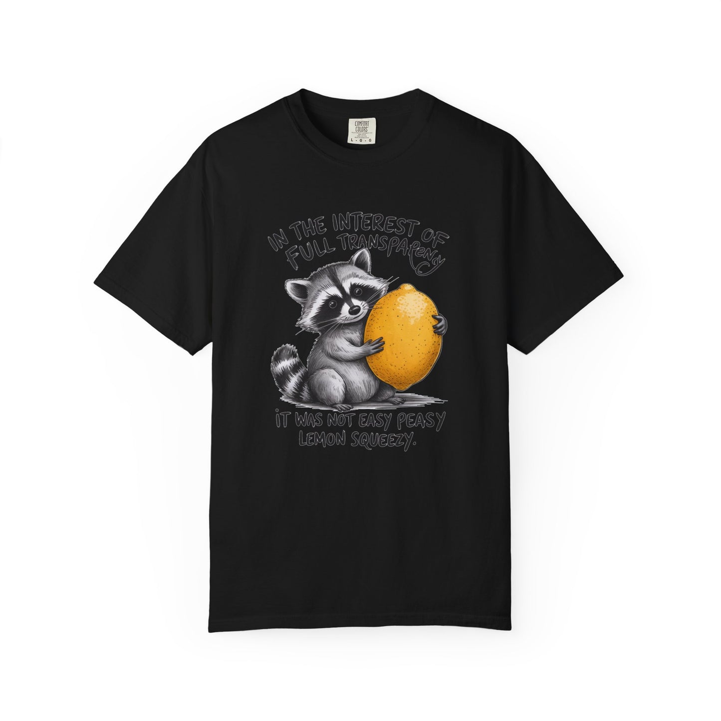 In the interest of full transparency T-shirt, Comfort Colors Shirt